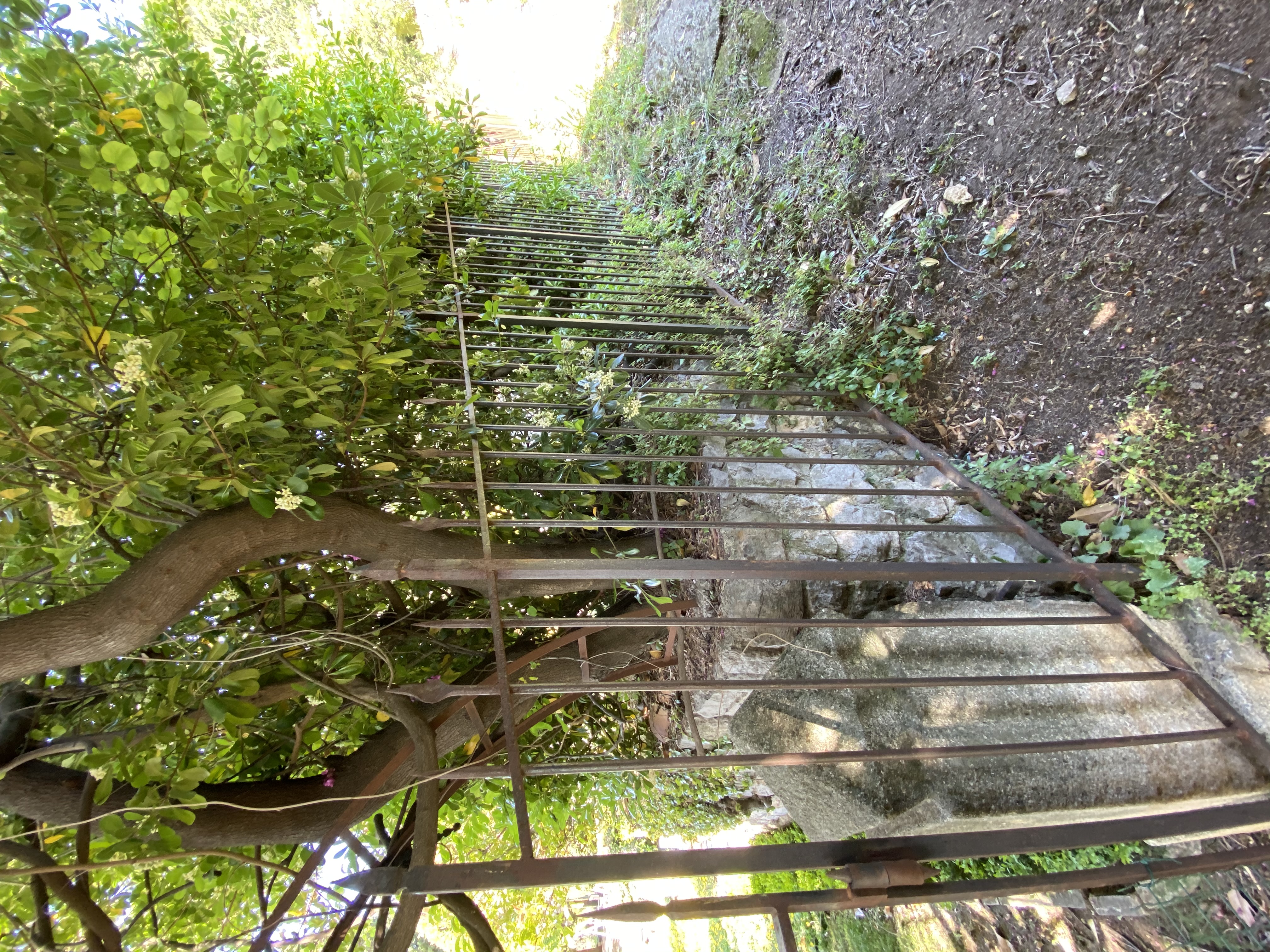 Clôture en fer forgé