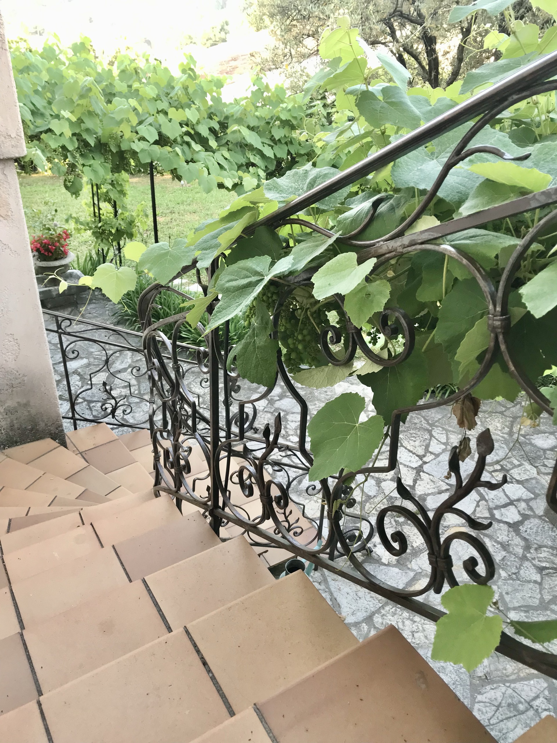 Garde-corps fer forgé sur mesure