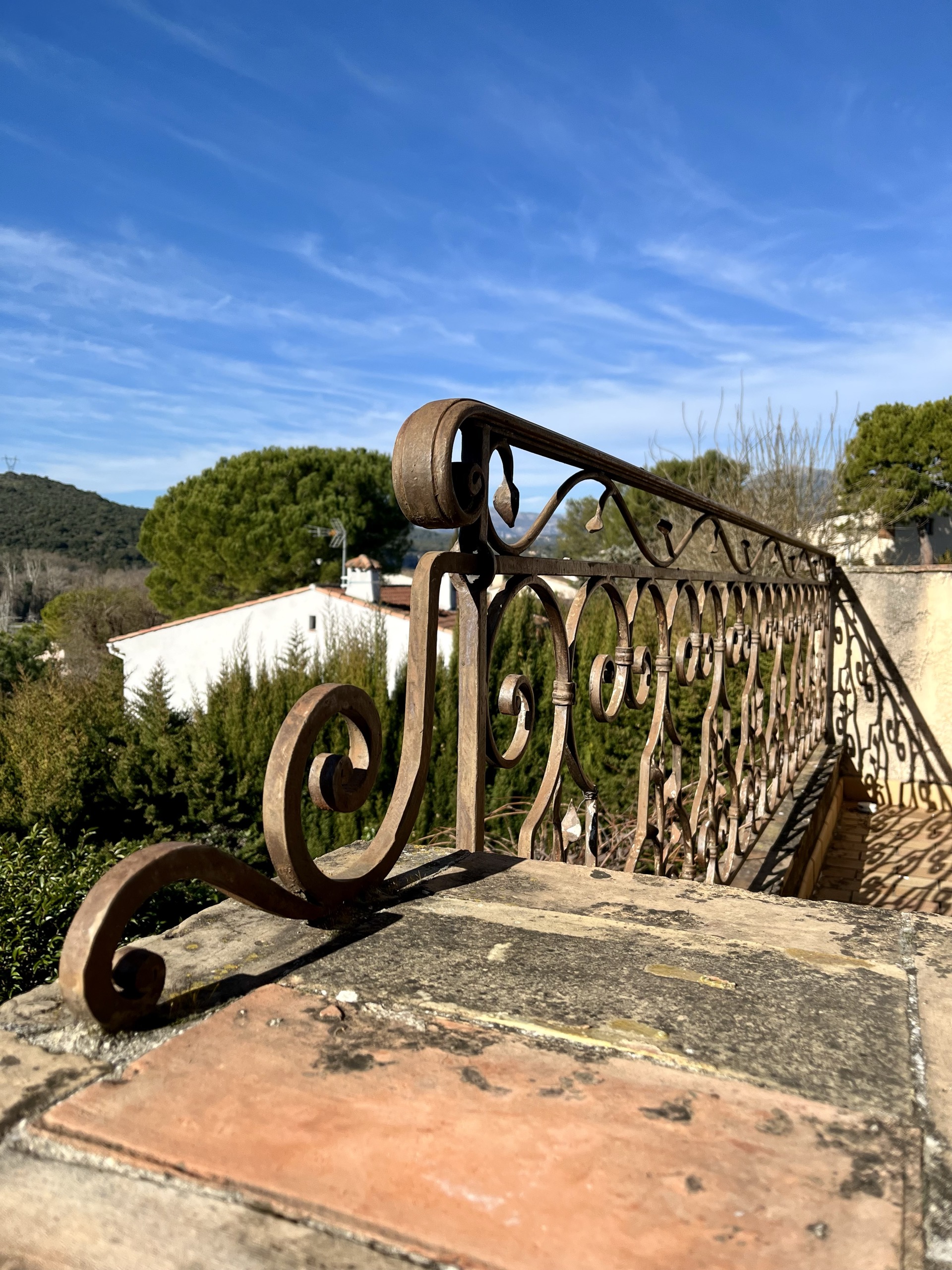 Garde-corps fer forgé sur mesure