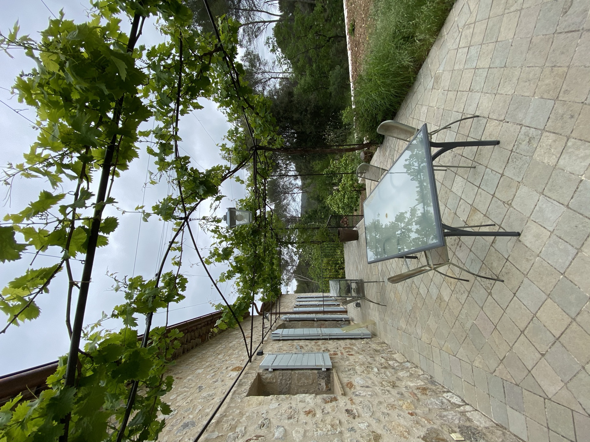 Pergola en fer forgé