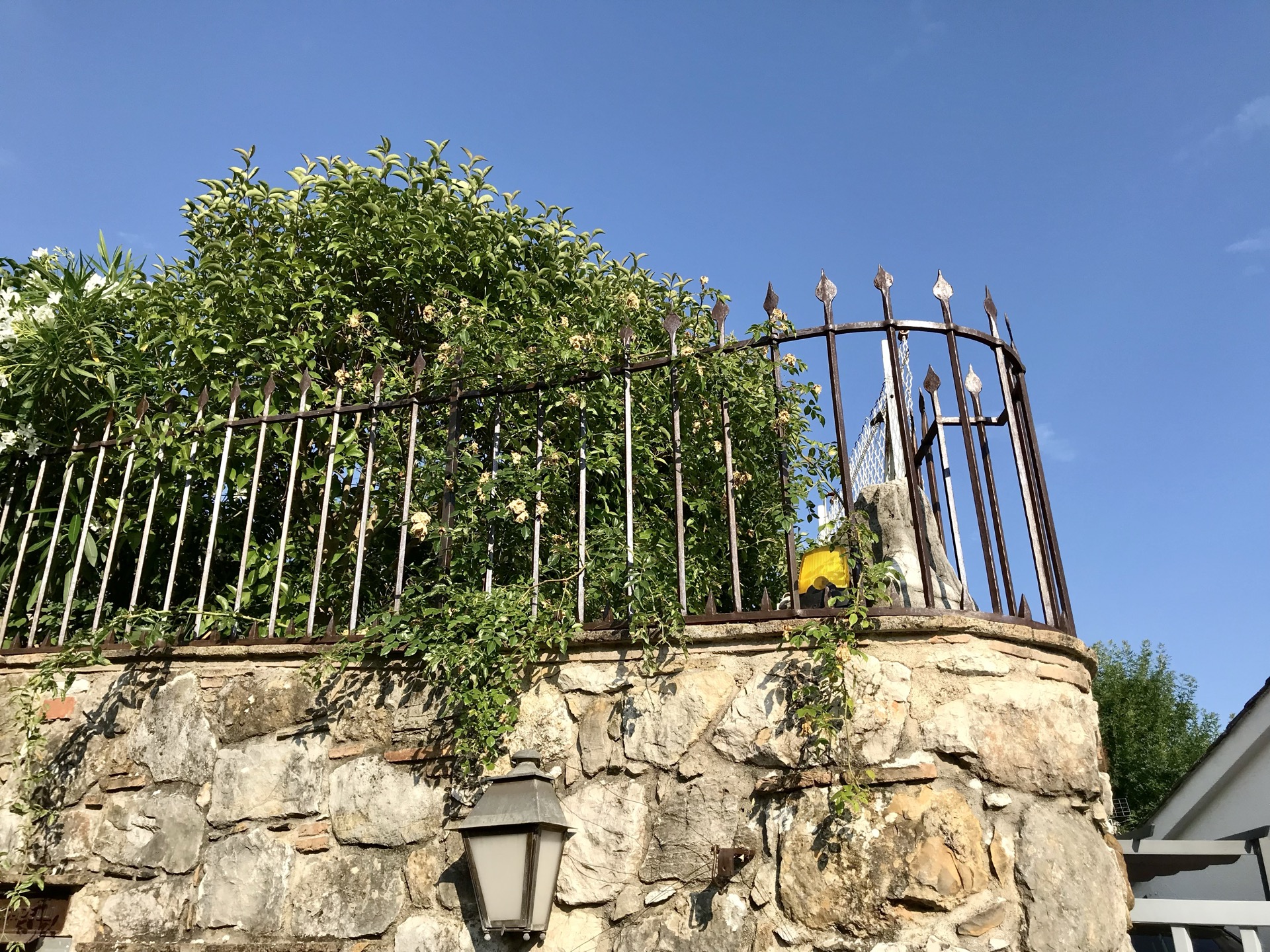 Portail fer forgé sur mesure