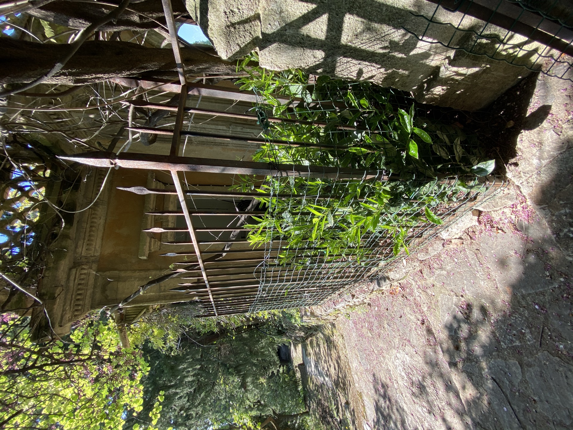 Portail fer forgé sur mesure